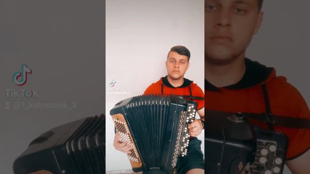 Volkanov- Я намалюю на папері щасливу дитину... баян кавер