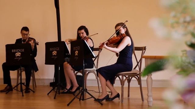Bridge Strings - Married Life - Theme From Up - Recorded At The Barn At Berkeley - Wedding Music