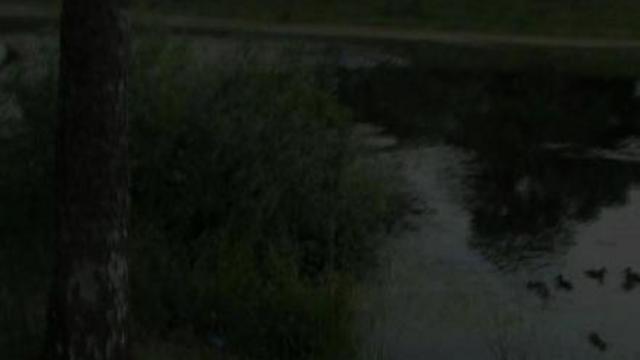 Bd53918fe44acac6f6c79336d806dbc0