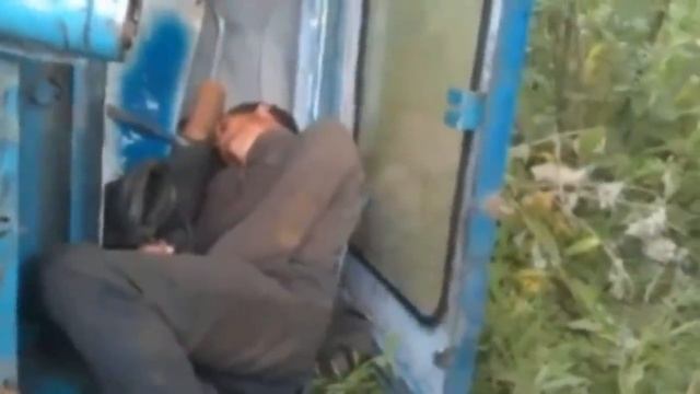 955444553906fff2bd9627939b84c711