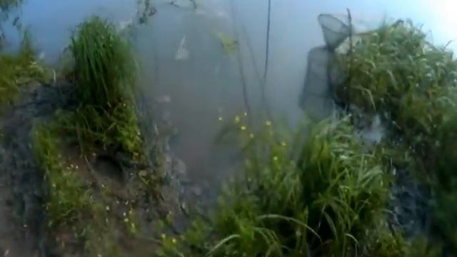 Глубинные тайны