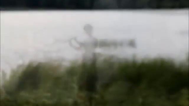 Гитарные каникулы