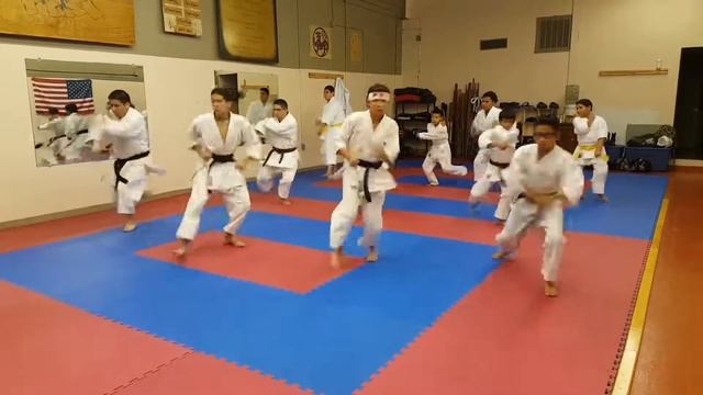 Shotokan Karate Do Zenkutsu-dachi (Front-stance)  Kihon Kumite Drill
