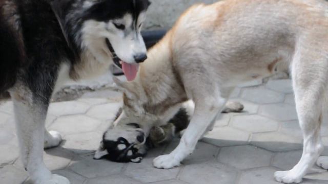 Изображение 598