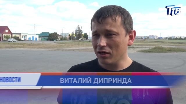 Животные из мотоциклетных покрышек