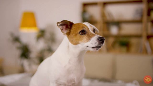 Beef Curry Recipe Kerala Style - Authentic Taste | Spicy Beef Curry