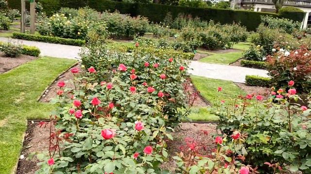 NATURE'S IN NEW ZEALAND (BOTANICAL GARDEN) || Itsme Melanie