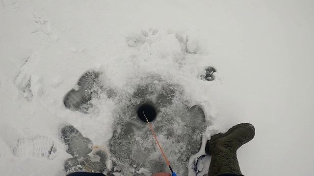 Рыбалка на Селигере