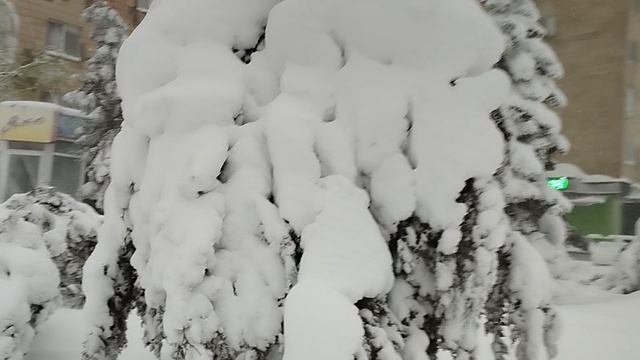 8bafeb34d153d4857bc8068954107fc3