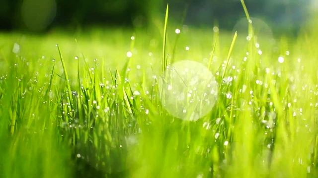 2e9793d1ba980c42c09b3bff718723cd