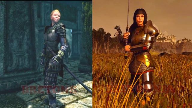 Warhammer Vs Skyrim(Tamriel) Races