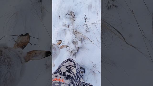 344a66915959be77b2775f733e521dfb