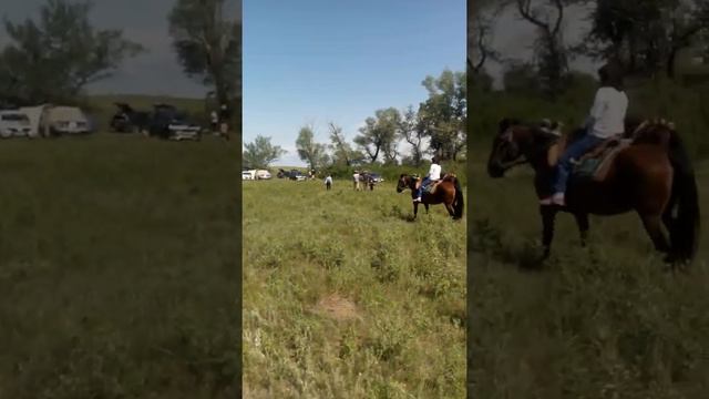 Катание на конях  Уральское-Яикское казачество