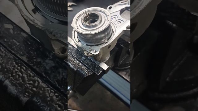 Чисто и уютно: мир беззаботного ремонта