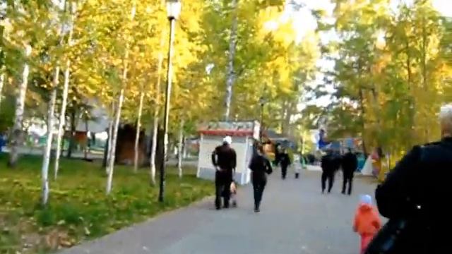 Новосибирский парк Березовая роща