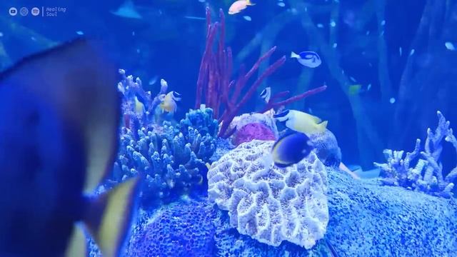 Расслабляющая музыка, которая лечит стресс, тревогу и депрессию, лечит ум, расслабляет