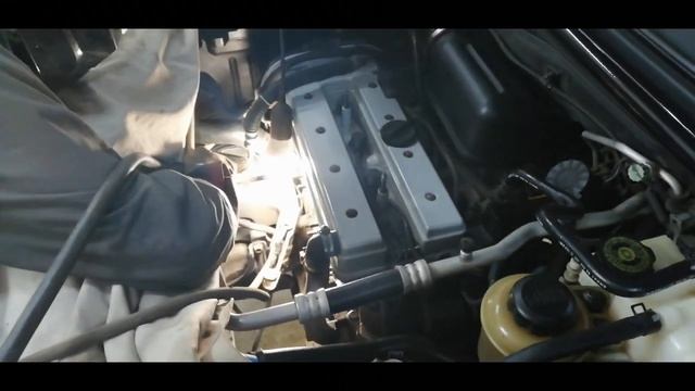 Экосвет в действии