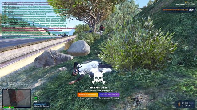 Rutube_account_20511666