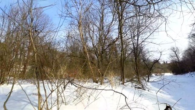 DJI Action 2 Review | Features, Video Examples, And Highlights