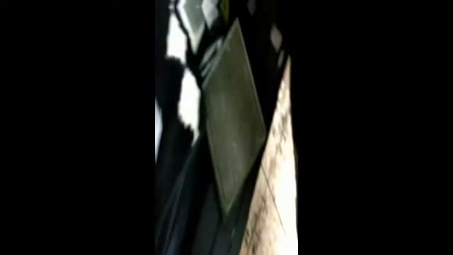 Бисерная слюда