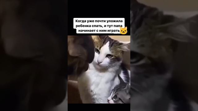 Когда уложила ребенка спать