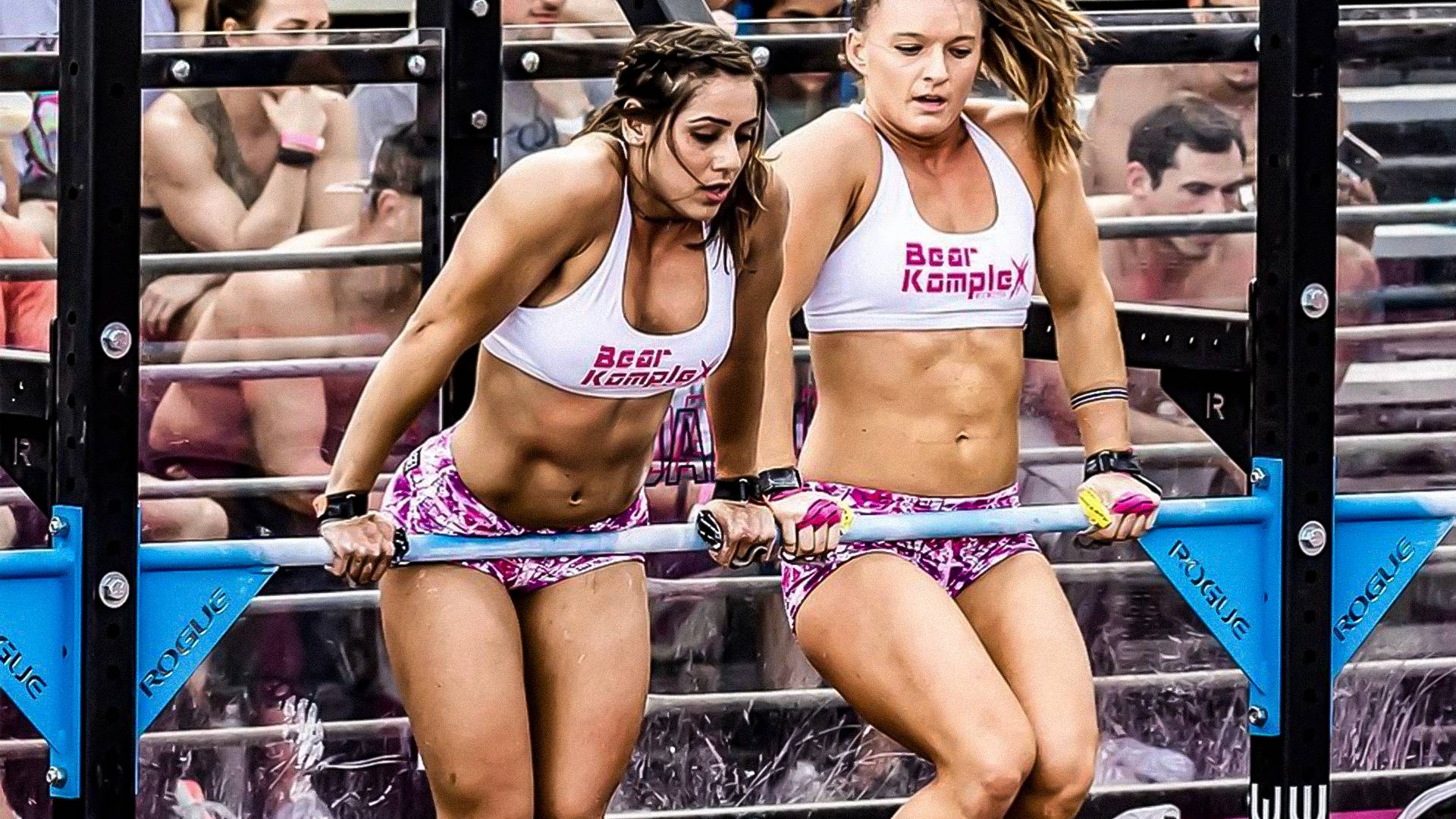 8ee2412db446922d3ce0233d53ca7a28