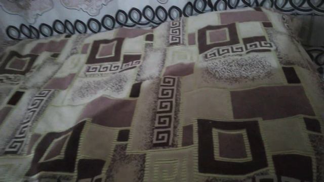 Кот гадит мне на кровать что делать?