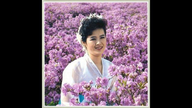 The Shines Over My Country