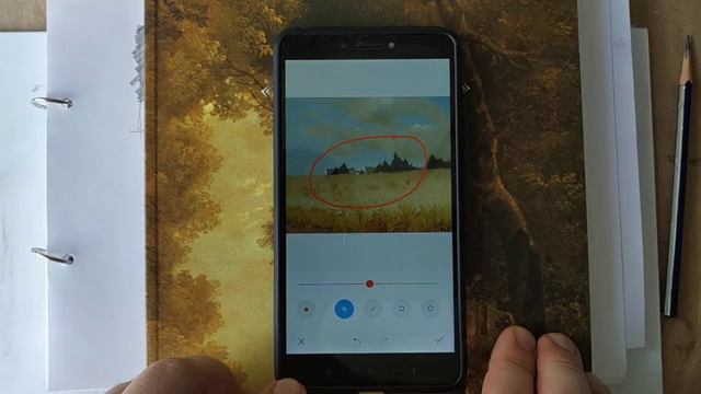 C79dd8f05ec293ff07c555c2f34dce04