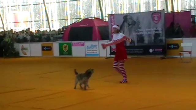 Харди. Фристайл Мастер 1 место