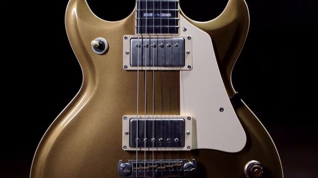 Coy's Signature Guitar With Ibanez