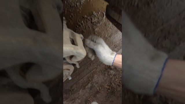 Танцевальные образцы