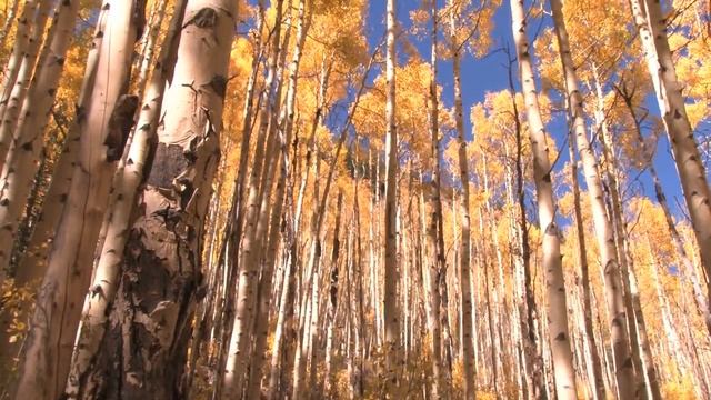 0f91cc678441fd61e888f1f83f01b509