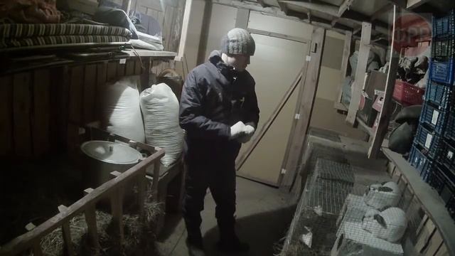 про село - кролики это ценный мех / сельхоз влог / реальная жизнь в русской деревне