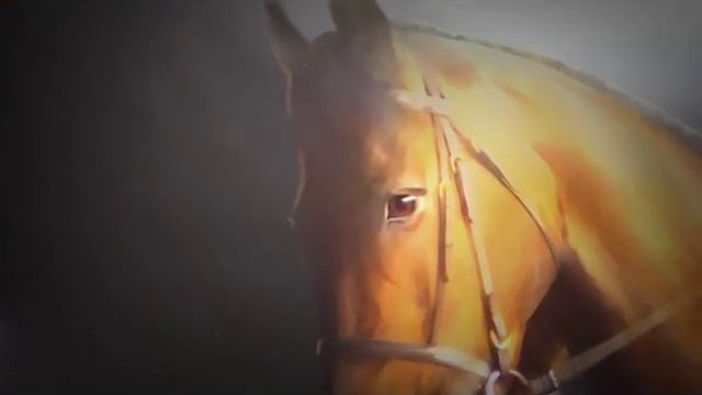 Winning Post 7 2012 世界の頂へ『ヴィクトワールピサ』