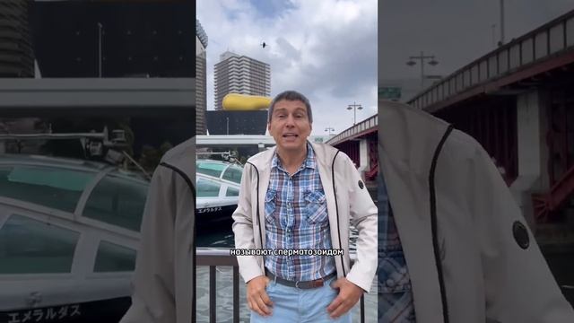 Достопримечательности Токио 1. #путешествия #япония #токио