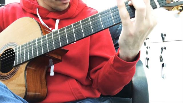 Secret Garden - Guitar 💜