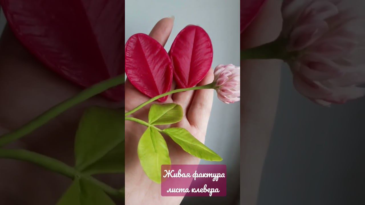 76e0d52365b721b8dfb56dad40d9e36e