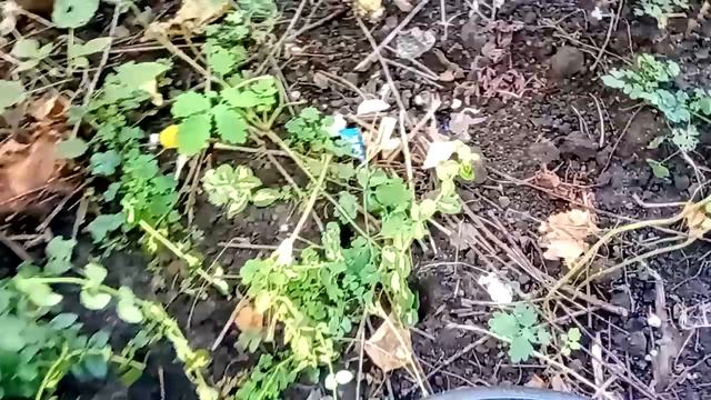 E84242fcec90927c65028312e3927889