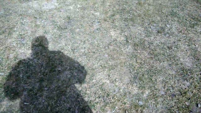 987b52f4daa57489ad8ca74f0bbe1098