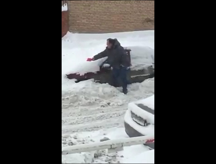 Самые забавные видео