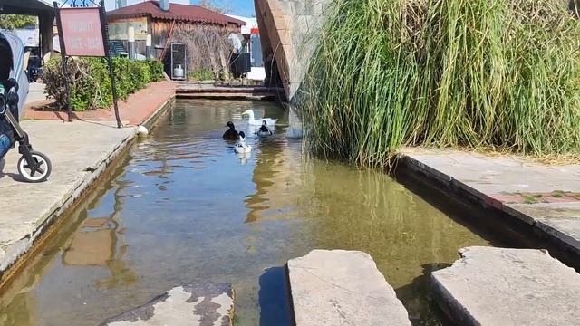 Турции 2023. Шикарный парк около 5м мигрос и пляж Коньяалты. Влог Анталия. Влог.