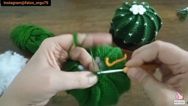 TIĞ İŞİ KAKTÜS YAPIMI #amigurumi #kaktüs#Keşfet