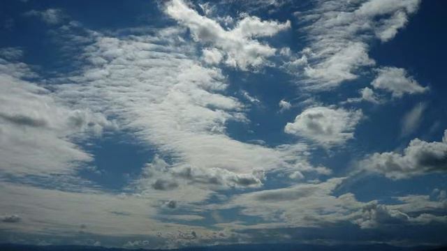 BLUE DANUBE ACCORDIONS Hit - 