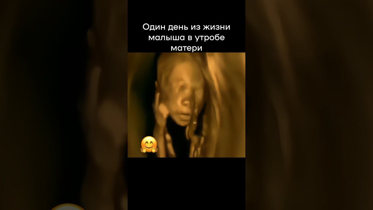Один день из жизни малыша в утробе  #женскоездоровье #беременность #малыш #скоромама