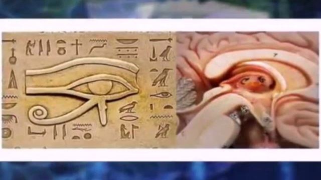 Пространственная Настройка шишковидной железы