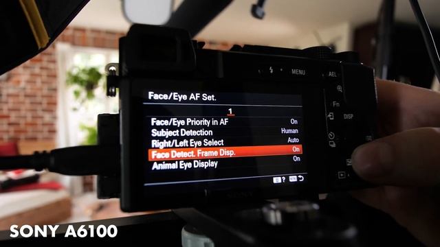 Sony A6100 Vs Canon M50 MK II— Don’t Pick Wrong!