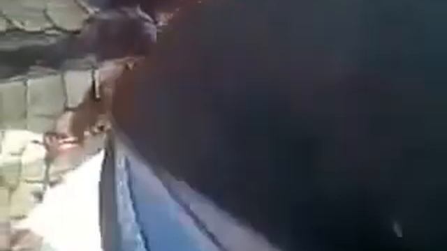 7329e4b00659f114f968ccc97d92b859