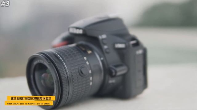 Best Budget Nikon Cameras In 2022