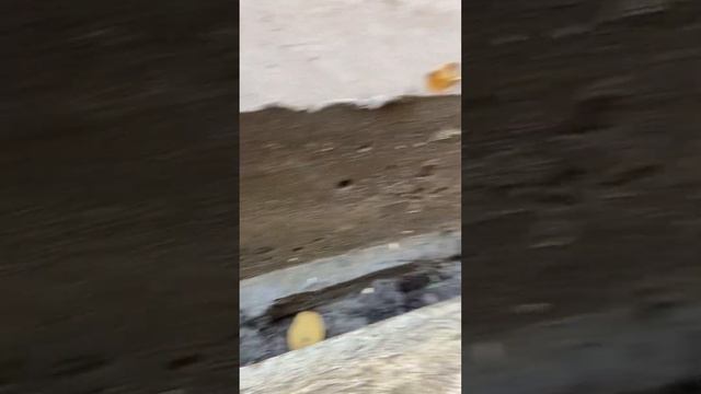 5.2 готовая отмостка! Результат!